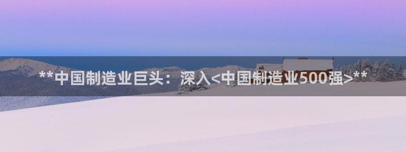 彩神vll趣投彩：**中国制造业巨头：深入<中国制造业500
