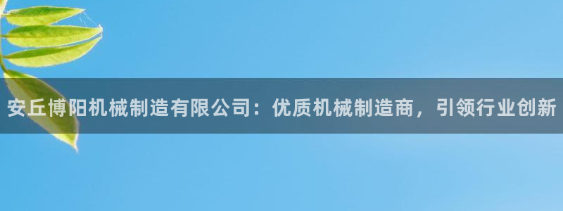新版彩神v8登录：安丘博阳机械制造有限公司：优质机械制造商，引领行业创新