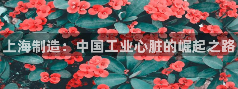 彩神viii下载安卓