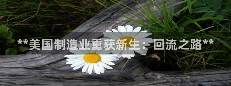 彩神iv能赚钱吗