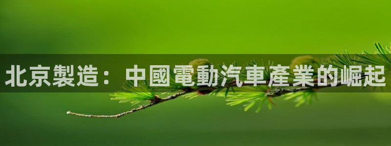 彩神购彩-购彩大厅入口下载