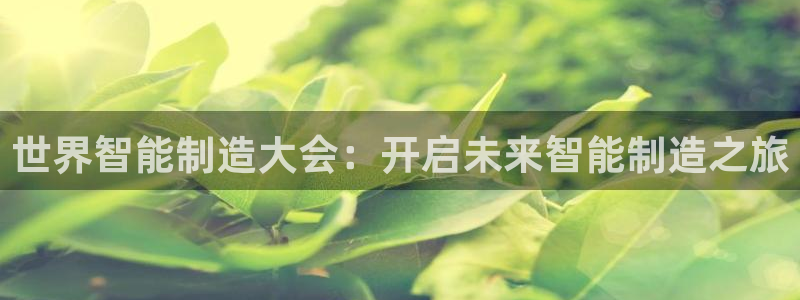 彩神购彩-购彩大厅入口500