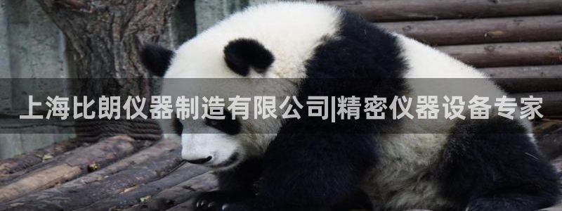 新版彩神v8登录不上去：上海比朗仪器制造有限公司|精密仪器设