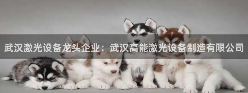 彩神争霸平台