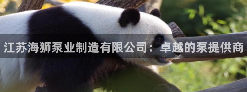 彩神数码科技有限公司