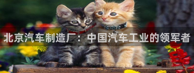 彩神8官网下