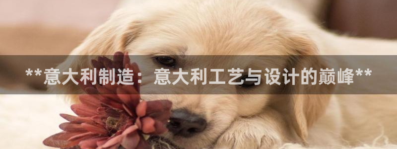 彩神v8下载