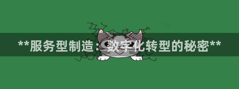 大发彩神最高邀请码：**服务型制造：数字化转型的秘密**
