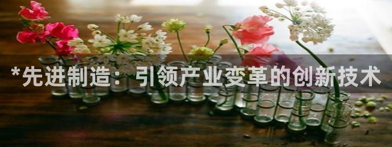 彩神v8是一个什么平台