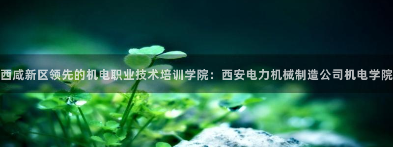 彩神网官网登录