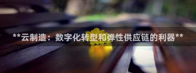 彩神是什么平台
