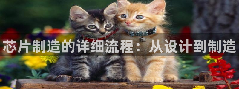 彩神VI首页