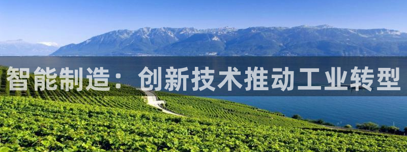 彩神ⅴll是什么样平台