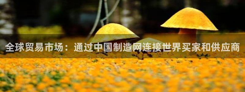 彩神Vii购彩-购彩大厅