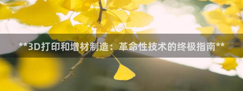 彩神数码科技有限公司