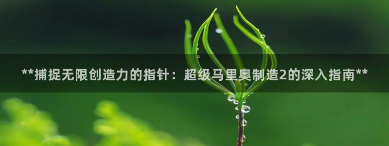 彩神vll购彩大厅大众