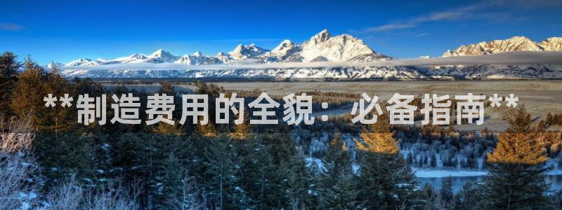 彩神网合法吗