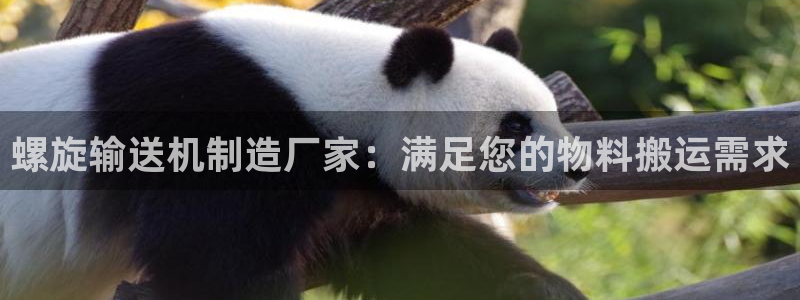 彩神vii购彩l心