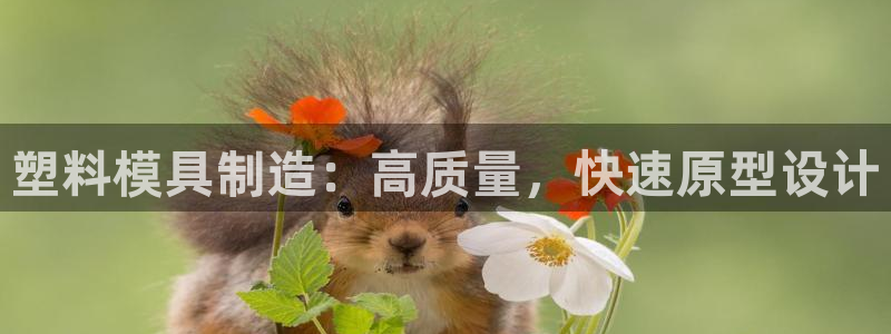 彩神8官网版是正规的吗