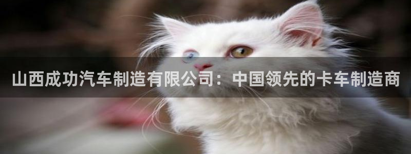 彩神8官网合法吗