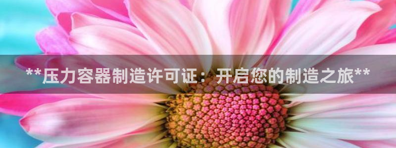 彩神V集团公司