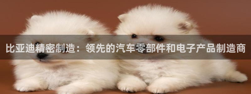 新版彩神v8登录