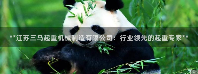 彩神购彩-购彩大厅入口老版