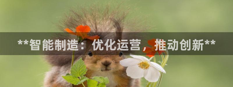 彩神购彩购彩大厅入口v