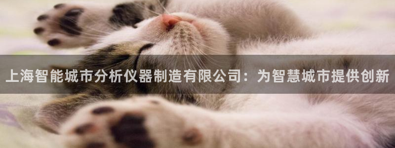 彩神新微聊
