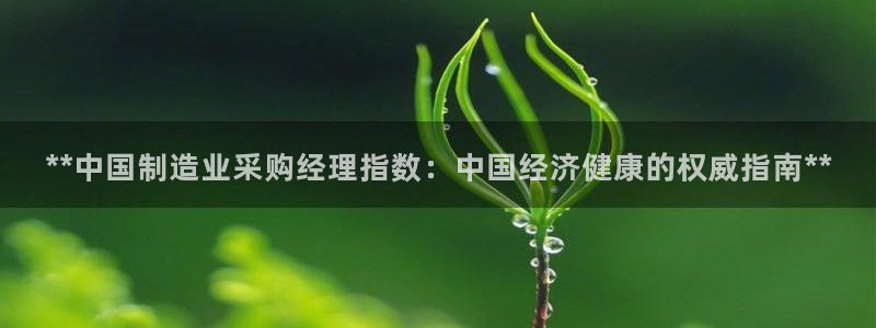 彩神新微聊