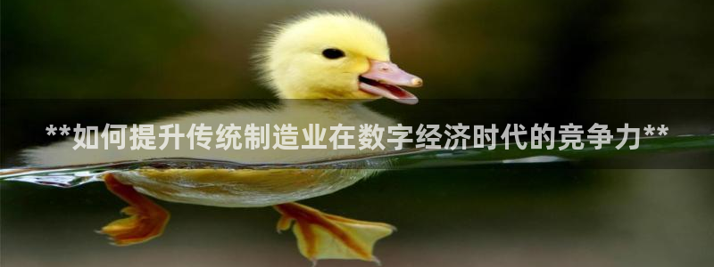 彩神v彩搜狗