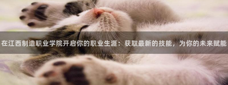 彩神旗下有哪些平台可以玩
