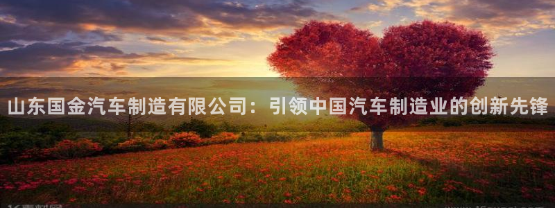 下载彩神乐发V