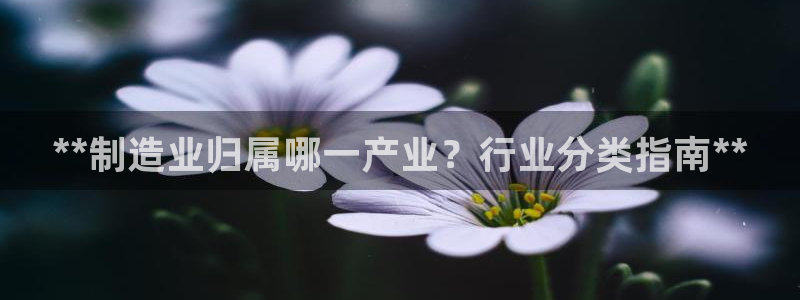 彩神争霸官方下载2017