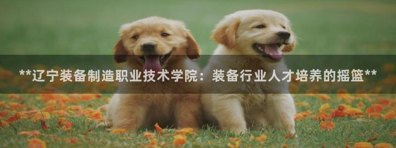 所有彩神购买首页