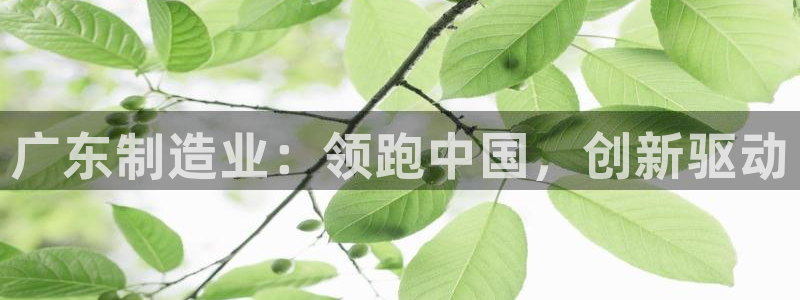 彩神v8有多久了?靠谱吗