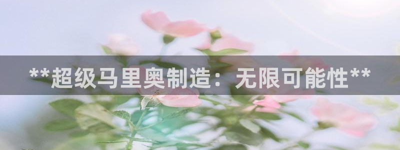 大发彩神最高邀请码：**超级马里奥制造：无限可能性**