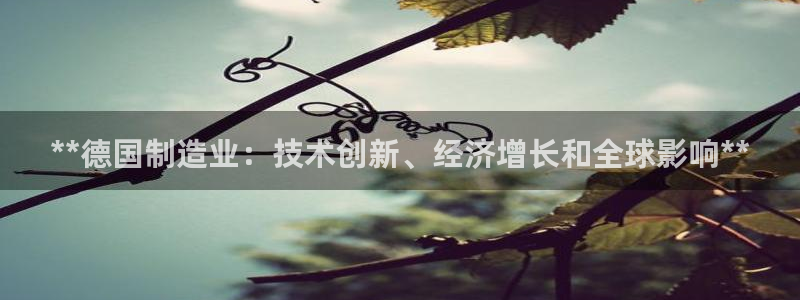 彩神VII官方版：**德国制造业：技术创新、经济增长和全球影
