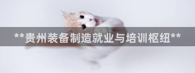彩神v8是真的挣钱吗安全吗