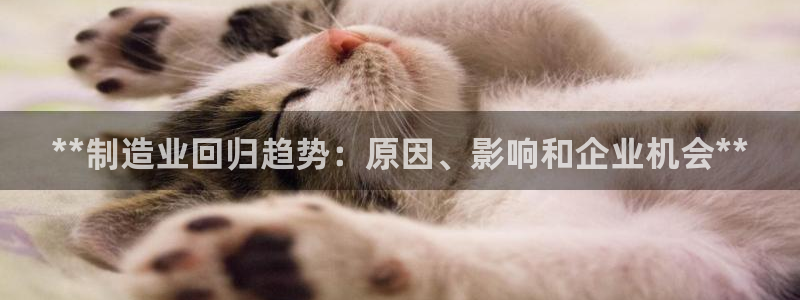 彩神ix可靠吗