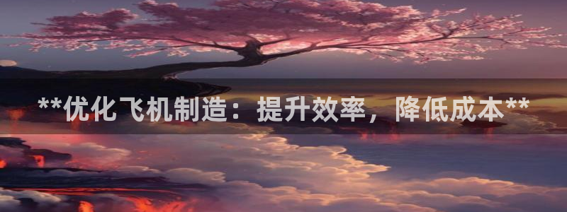 彩神购彩-购彩大厅入口36fr：**优化飞机制造：提升效率，