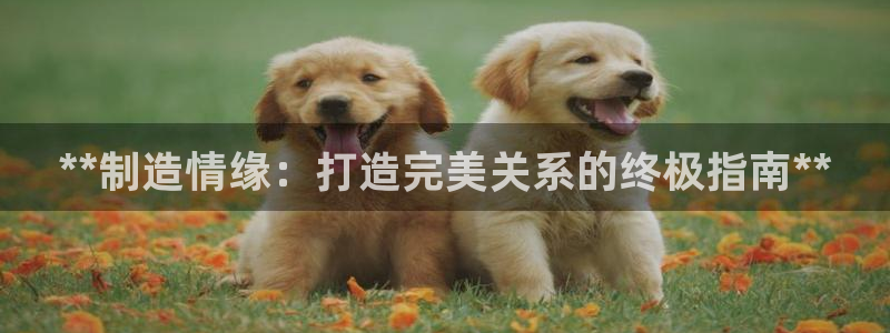 彩神vip购彩