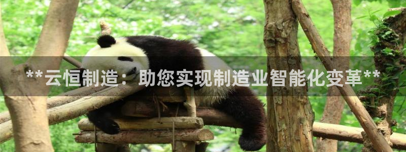 彩神赢钱了吗