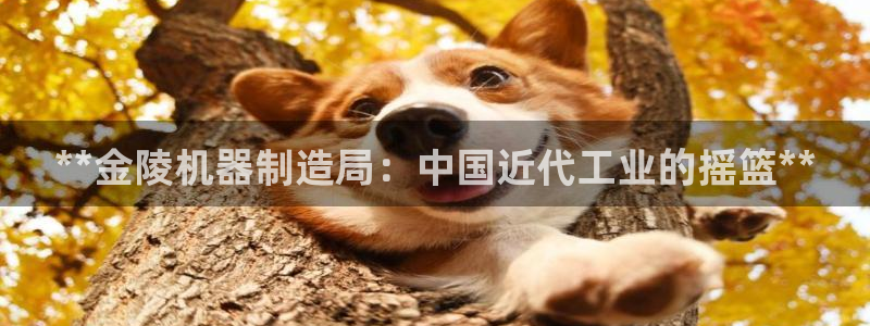 彩神天下专家专栏：**金陵机器制造局：中国近代工业的摇篮**
