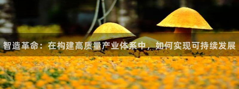 彩神v8手机客户端下载：智造革命：在构建高质量产业体系中，如何实现可持续发展