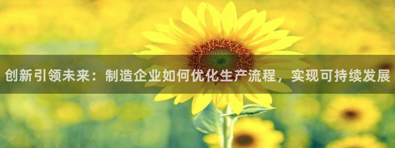 彩神ix官网是哪个公司的：创新引领未来：制造企业如何优化生产流程，实现可持续发展