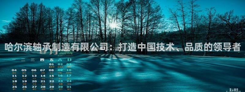 彩神购彩购彩大厅入口v：哈尔滨轴承制造有限公司：打造中国技术、品质的领导者