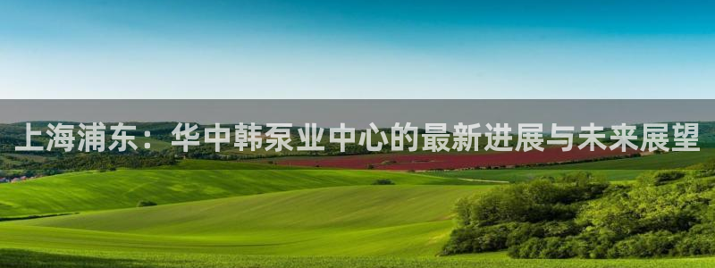 天天赢彩神：上海浦东：华中韩泵业中心的最新进展与未来展望