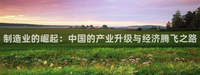 彩神v8是真的挣钱吗安全吗：制造业的崛起：中国的产业升级与经济腾飞之路