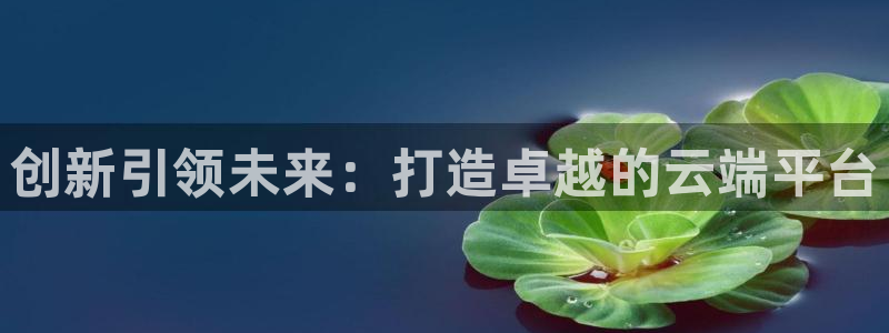彩神购彩-购彩大厅入口500